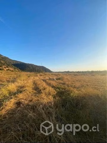 Vendo terreno 5.000m2 en la montaña de teno - Imagen 2