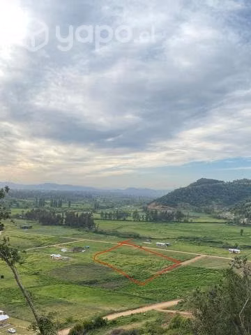 Vendo terreno 5.000m2 en la montaña de teno - Imagen 4