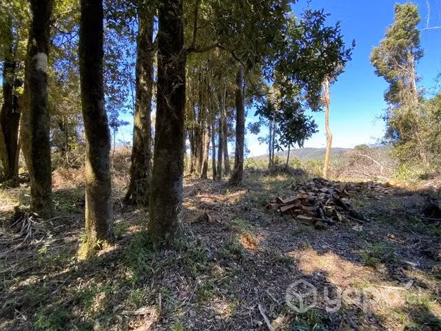 Sitio rural