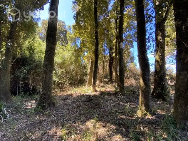 Sitio rural