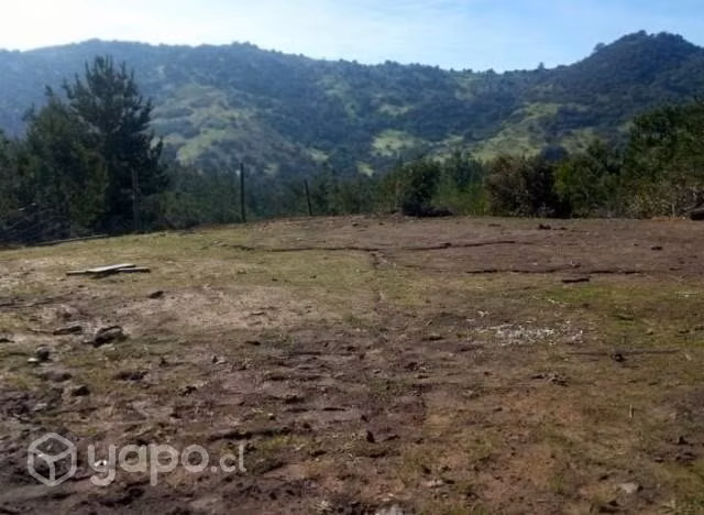 Se vende parcela en las Palmas de Chepica