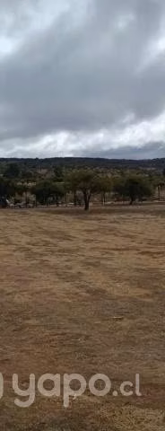 Parcela san miguel de viluco, marchigue