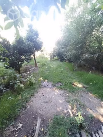Vendo terreno con casa - Imagen 5