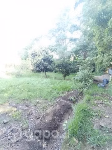 Vendo terreno con casa - Imagen 3