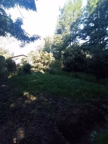 Vendo terreno con casa - Imagen 4