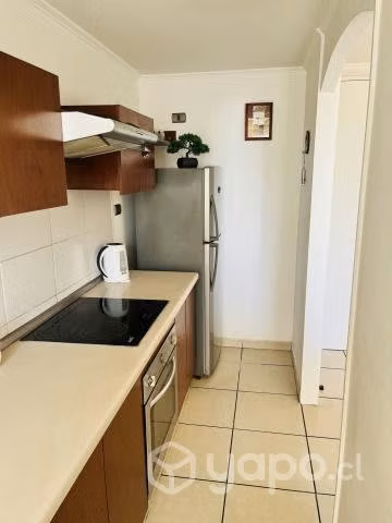 Marina Sol 2 - (amoblado) - Departamento