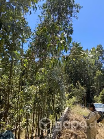 Se vende terreno en San Pedro de La Paz - Imagen 5