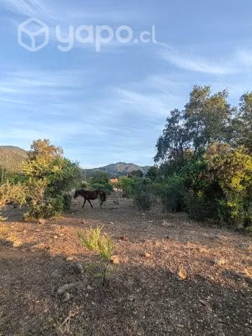 Vendo parcela en colbun acceso lago machicura