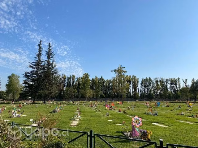 Sepultura Parque el Prado