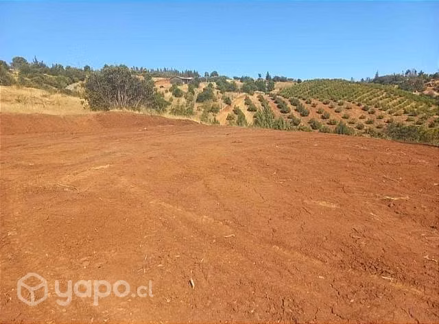 Vendo terreno 5000 m2 en quillon