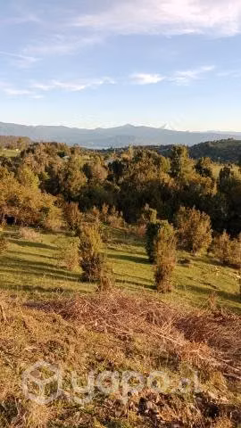 Vendo Parcela en Puyehue - Imagen 6