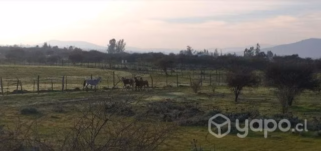 Terreno para cultivo o Invernadero (Naves) 2.000 m