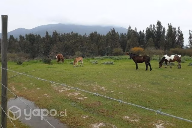 Terreno para cultivo o Invernadero (Naves) 2.000 m - Imagen 2