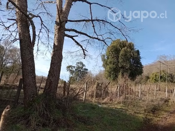 Terreno 3 hectáreas