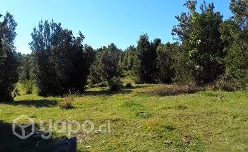 Parcela en venta en quillaipe …