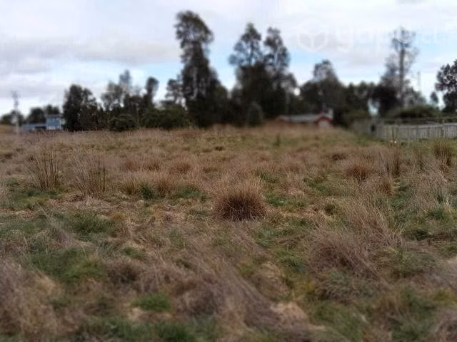Se vende parcela cerca de los muermos