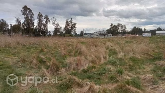 Se vende parcela cerca de los muermos