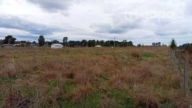 Se vende parcela cerca de los muermos