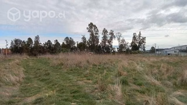 Se vende parcela cerca de los muermos