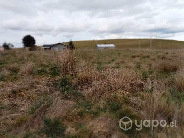 Se vende parcela cerca de los muermos