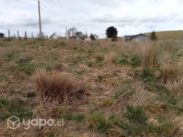 Se vende parcela cerca de los muermos