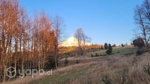 Parcela/Terreno Pucon/Villarrica - Imagen 7