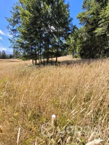 Parcela/Terreno Pucon/Villarrica - Imagen 3
