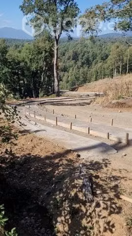 Parcela/Terreno Pucon/Villarrica - Imagen 9