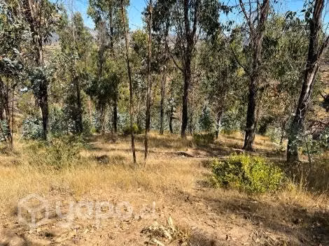 Vendo Parcela de 5000 mts