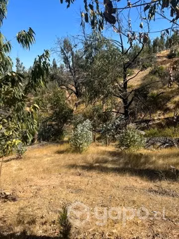 Vendo Parcela de 5000 mts