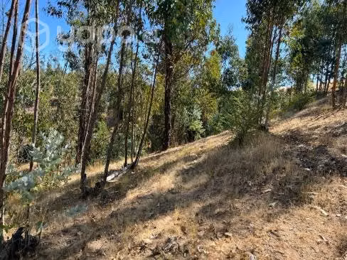Vendo Parcela de 5000 mts