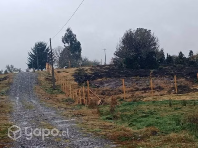 Colonia alerce … - Imagen 7