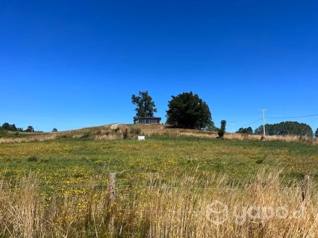 Vendo Terreno Agrícola Sector Vivanco, Lago Ranco - Imagen 5