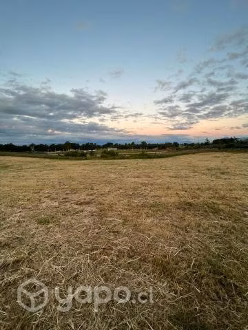 Vendo Terreno Agrícola Sector Vivanco, Lago Ranco - Imagen 2