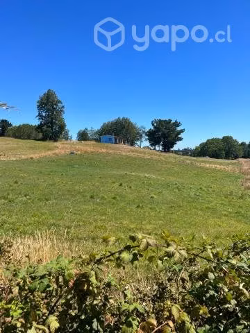 Vendo Terreno Agrícola Sector Vivanco, Lago Ranco - Imagen 6