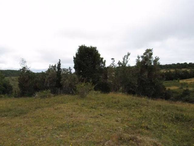 Terreno