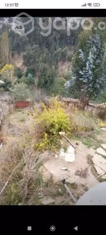 Se vende casa Forestal alto - Imagen 10