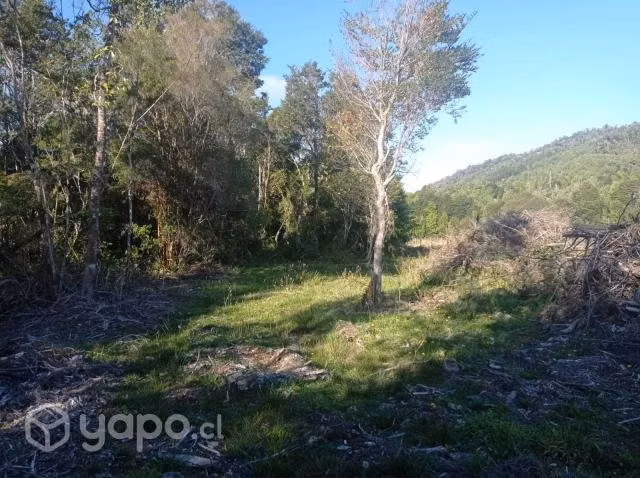Se Vende hermosa Hectarea en comuna de los Muernos