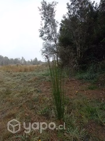 Se Vende hermosa Hectarea en comuna de los Muernos
