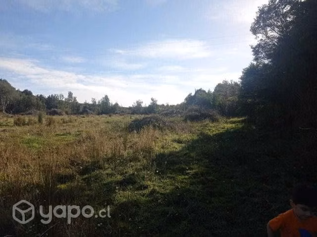 Se Vende hermosa Hectarea en comuna de los Muernos