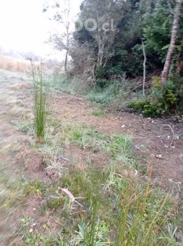Se Vende hermosa Hectarea en comuna de los Muernos