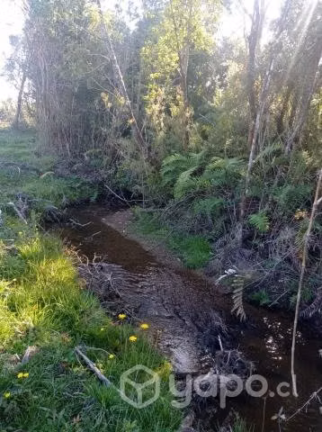 Se Vende hermosa Hectarea en comuna de los Muernos