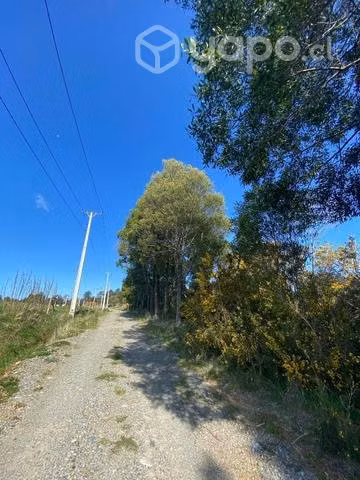 Se vende terreno 5000 m2 - coquiao, ancud, chiloe