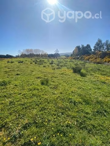 Se vende terreno 5000 m2 - coquiao, ancud, chiloe