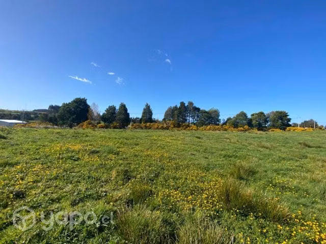 Se vende terreno 5000 m2 - coquiao, ancud, chiloe