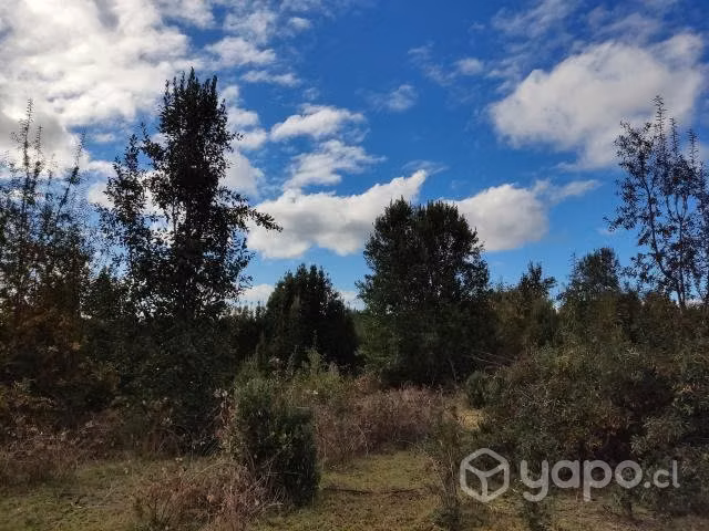 Vendo Campo de 5,7 hectáreas, cerca de Temuco