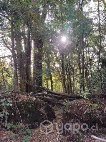Vendo Campo de 5,7 hectáreas, cerca de Temuco