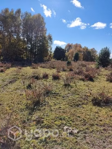 Vendo Campo de 5,7 hectáreas, cerca de Temuco
