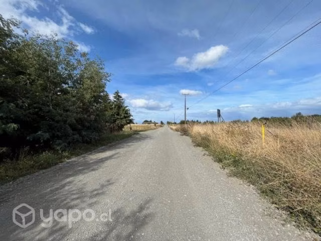 Frutillar bajo …