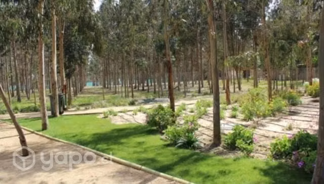 Oportunidad Unica En Venta depto Algarrobo - Imagen 3